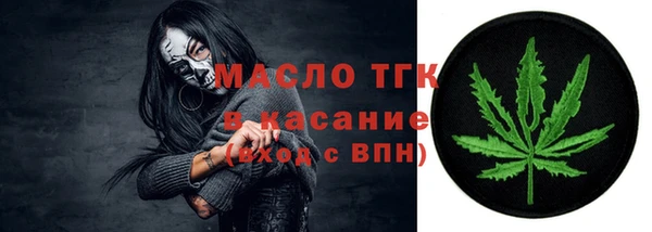 хмурый Арсеньев