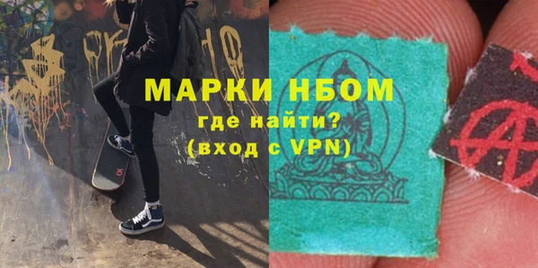хмурый Арсеньев