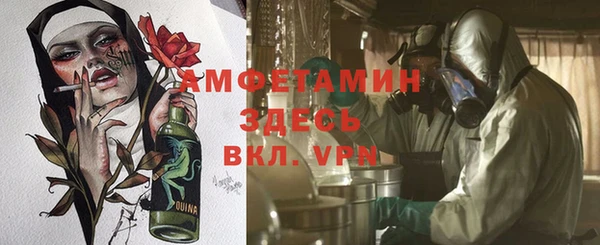 хмурый Арсеньев