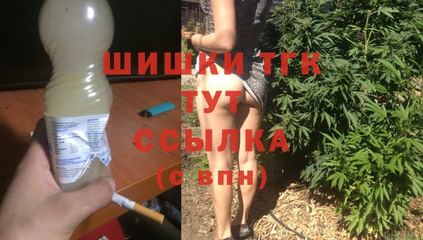 хмурый Арсеньев