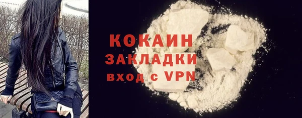 хмурый Арсеньев