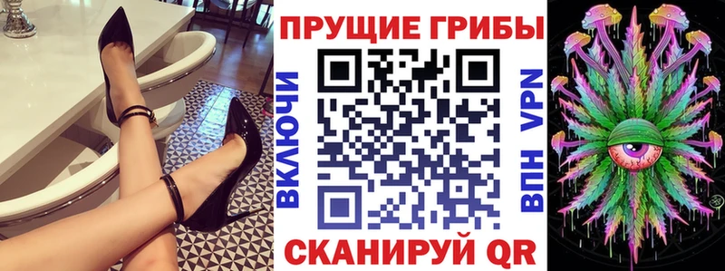 omg ссылки  Сасово  Галлюциногенные грибы мухоморы  закладка 